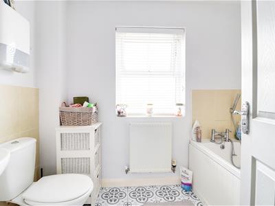 Picture 14